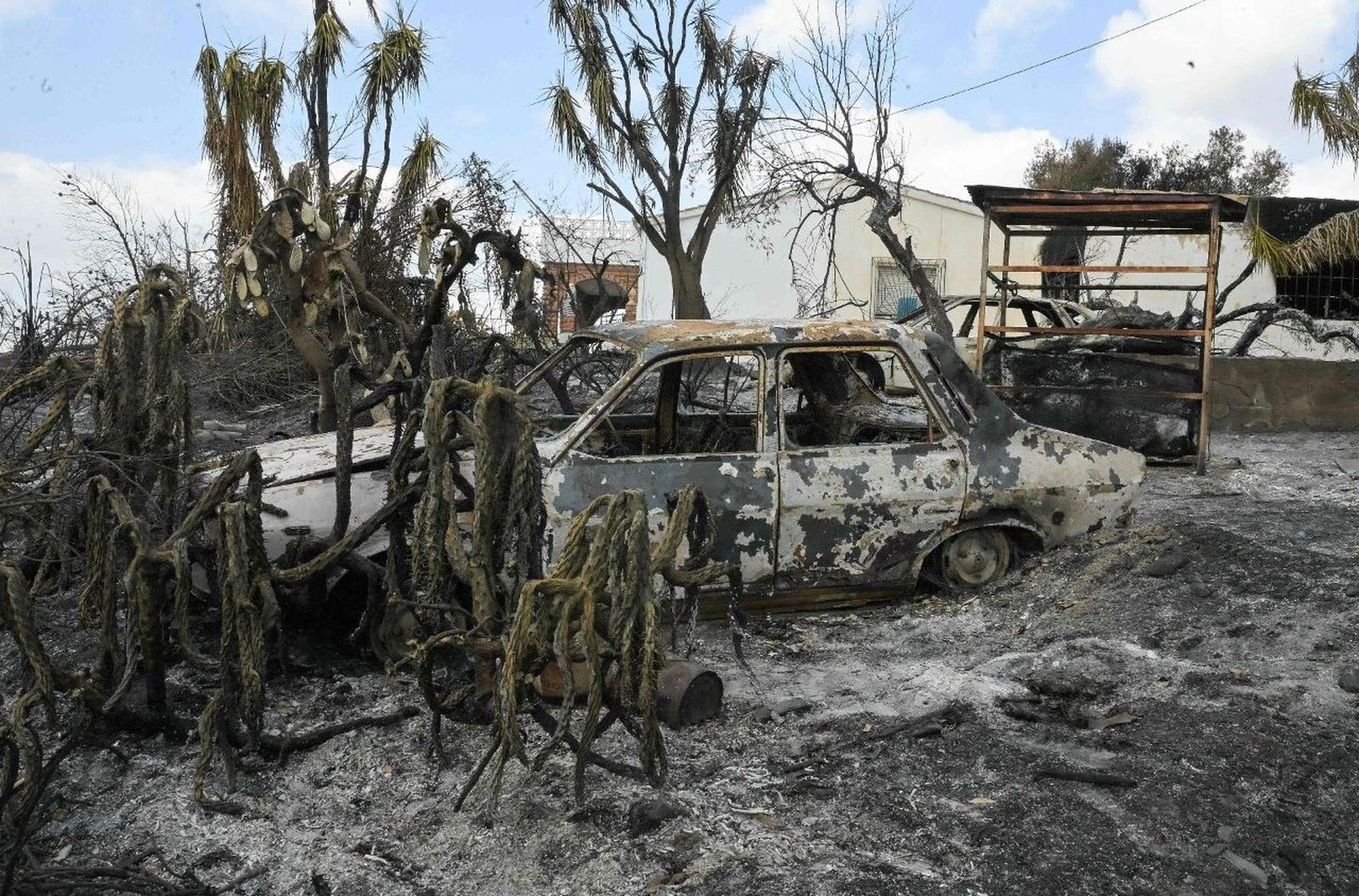 Incendios en Bedar y Los Gallardos