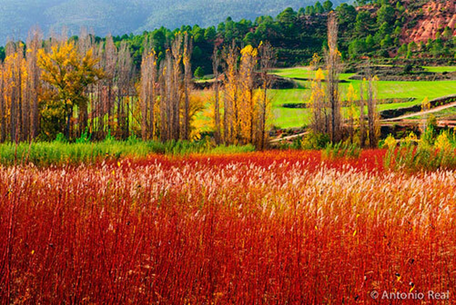 La vida de los curas rurales