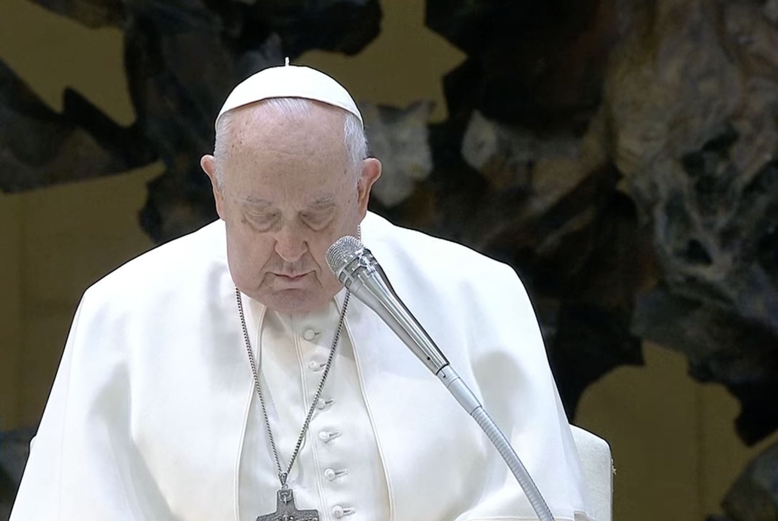 Francisco, en oración antes de iniciar la audiencia general