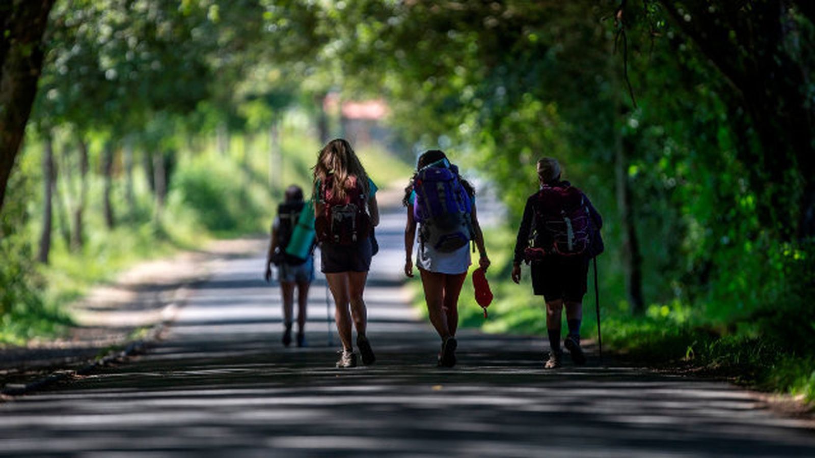 camino de santiago peregrinos1