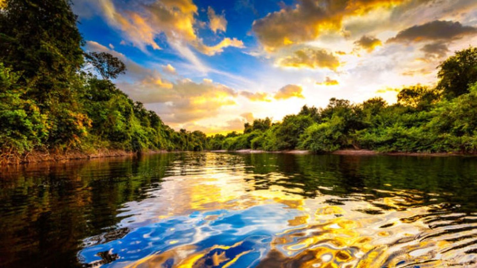 Las curvas del Sínodo