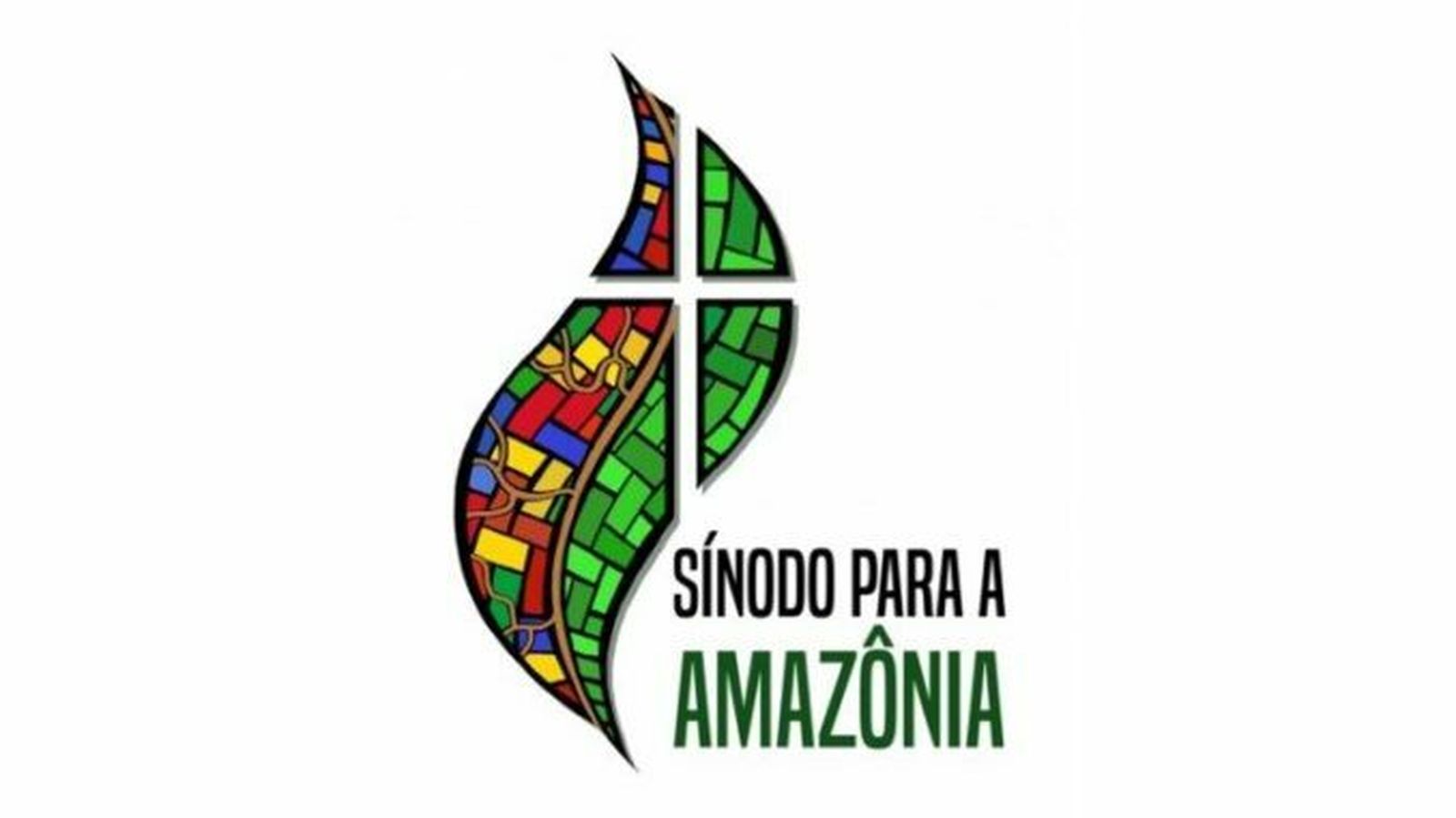 Sínodo Amazonía