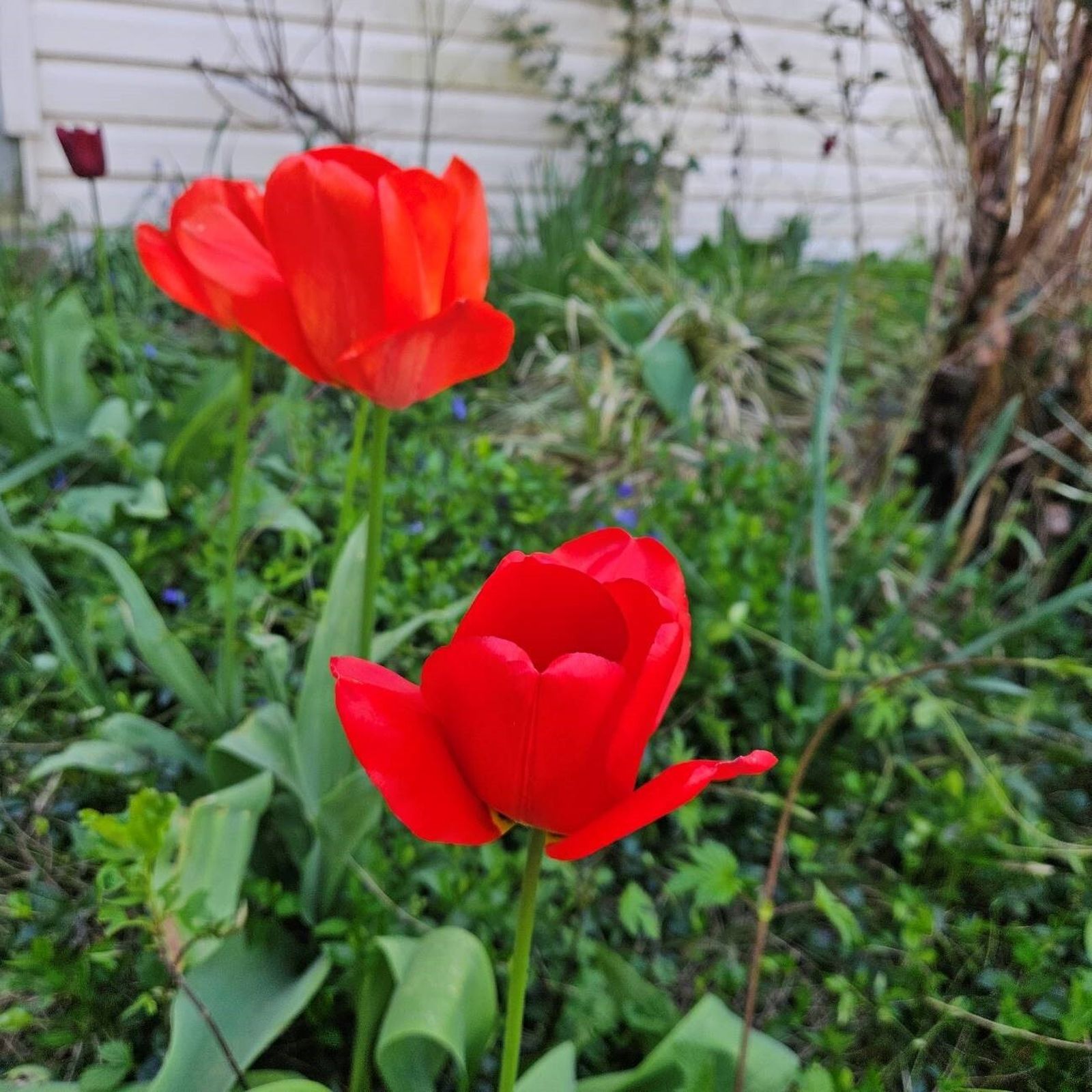 06 Año de Oración: Llamados a estar con Él