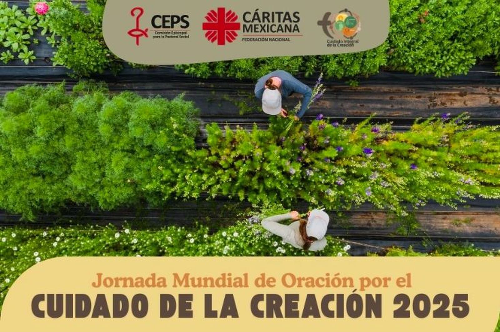 Anuncian creación de "Jardines de la Paz" en distintas comunidades en México