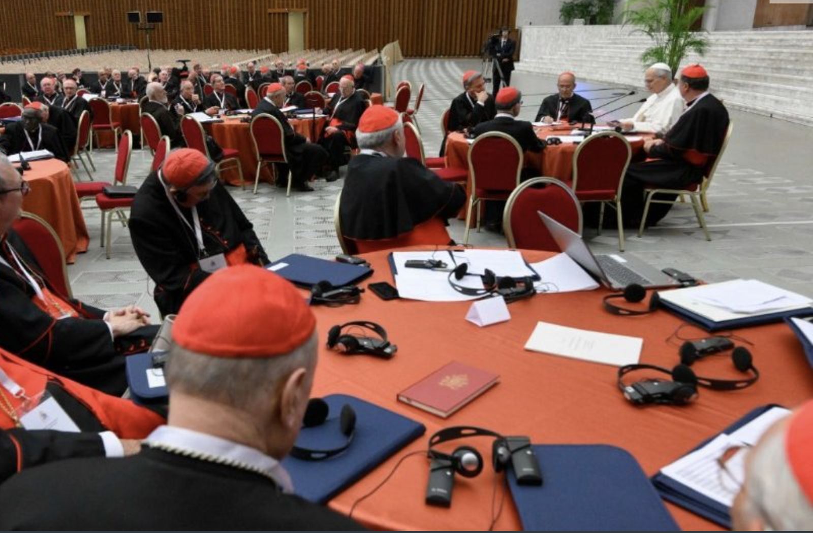 El consistorio de cardenales, en el Aula Pablo VI con León XIV