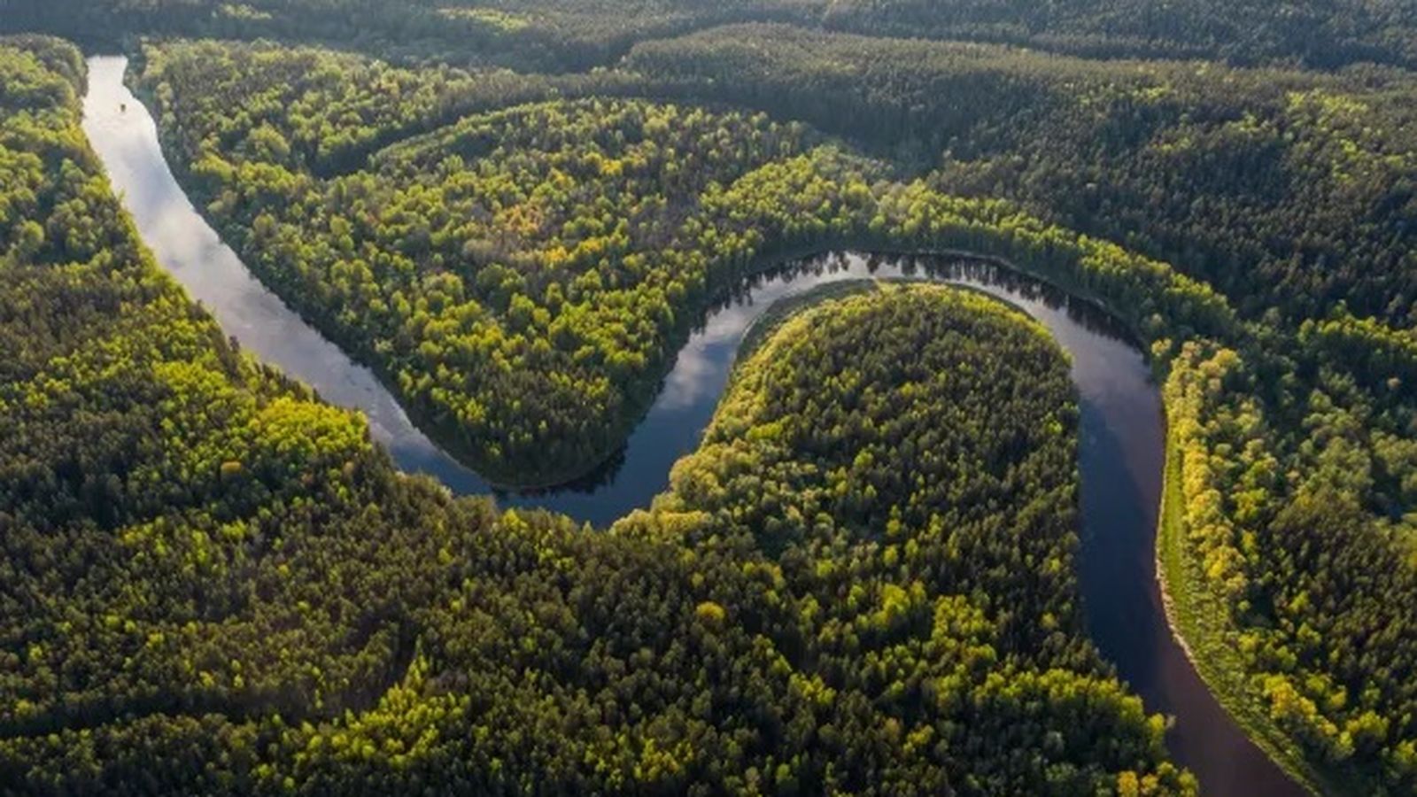 Cuenca del río Amazonas