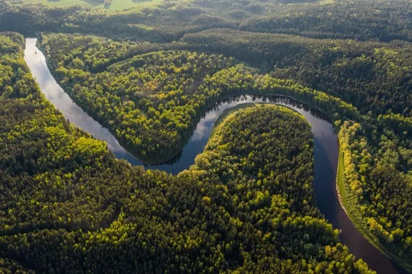 Cuenca del río Amazonas