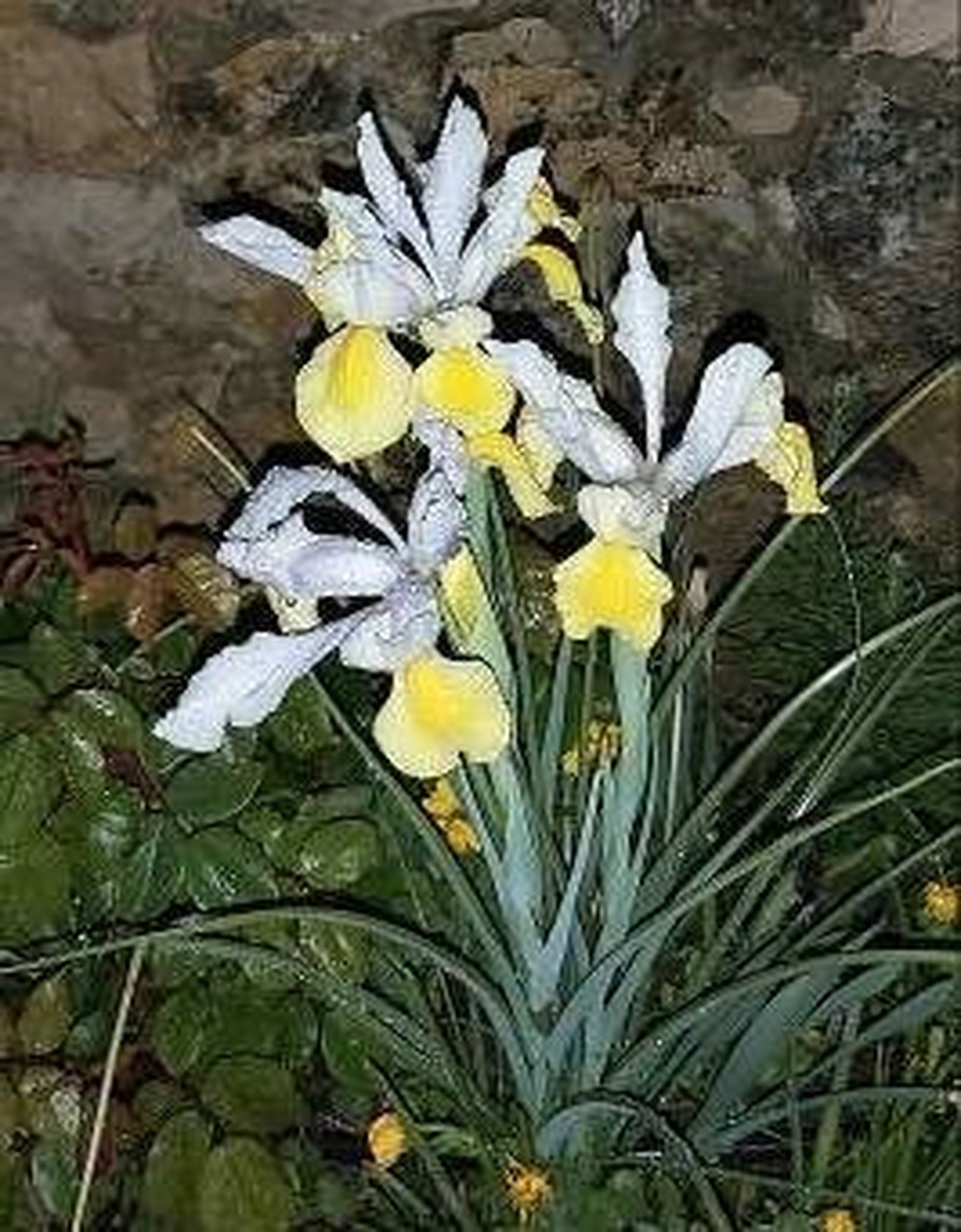 25ª Etapa - III Sábado de Cuaresma