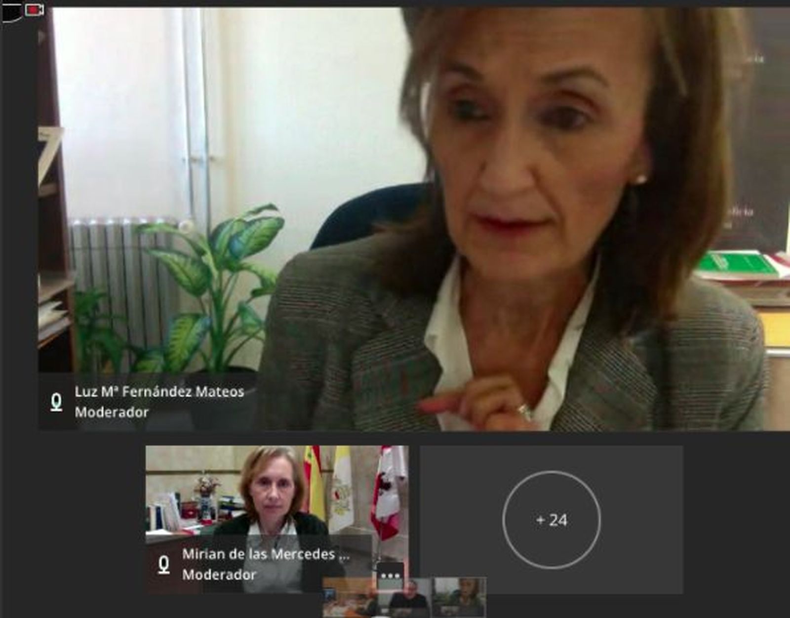 Luz María Fernández Mateos