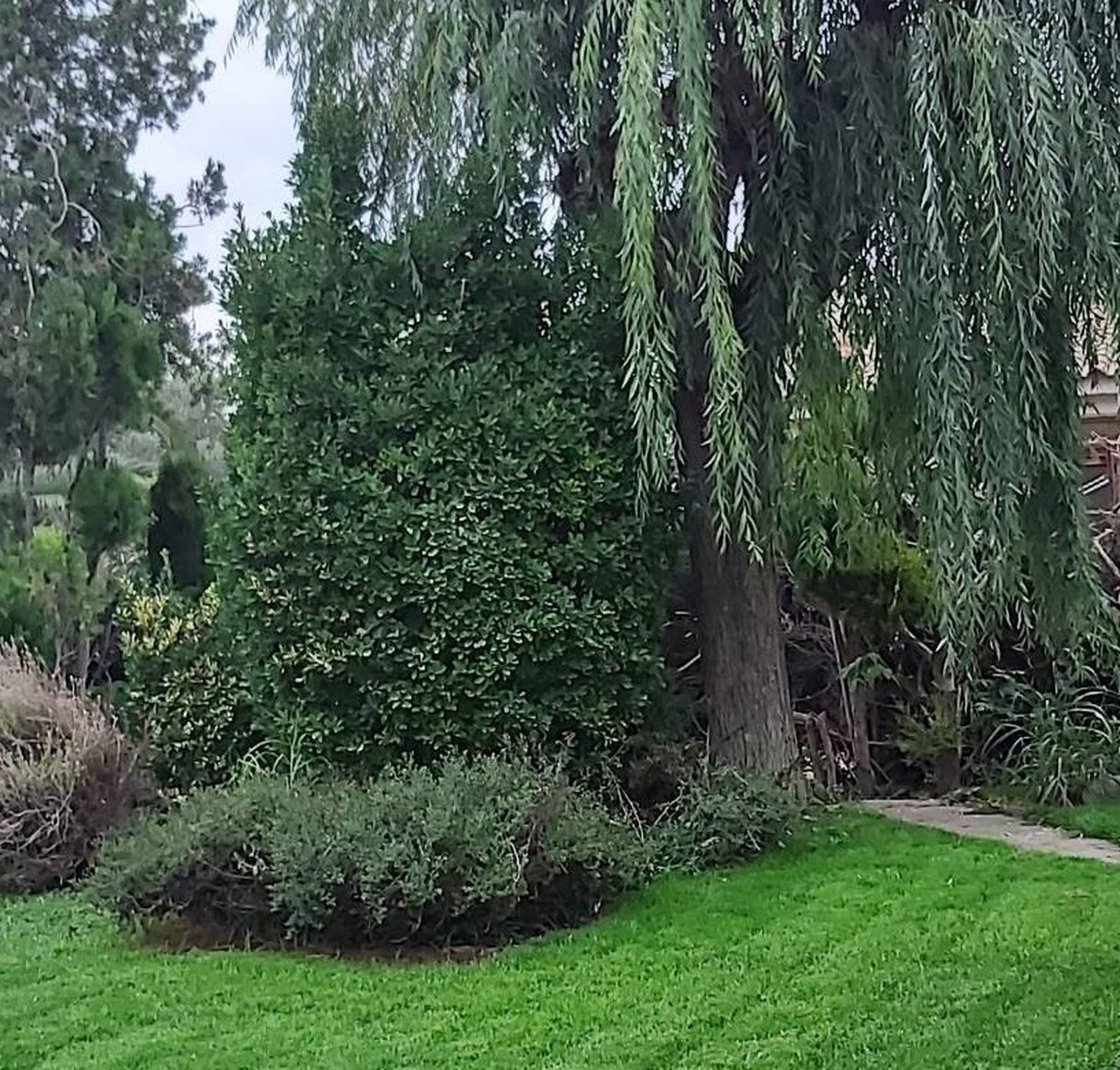 07 I Sábado de Adviento