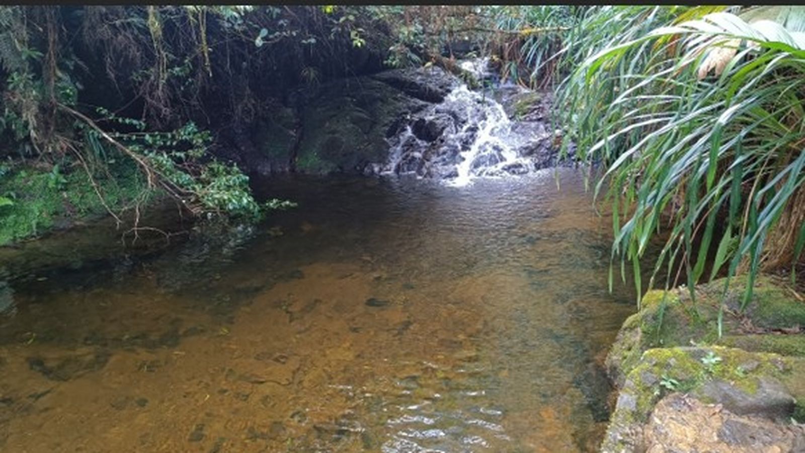 la Diócesis renueva su compromiso con el agua, los bosques, los territorios y la casa común.