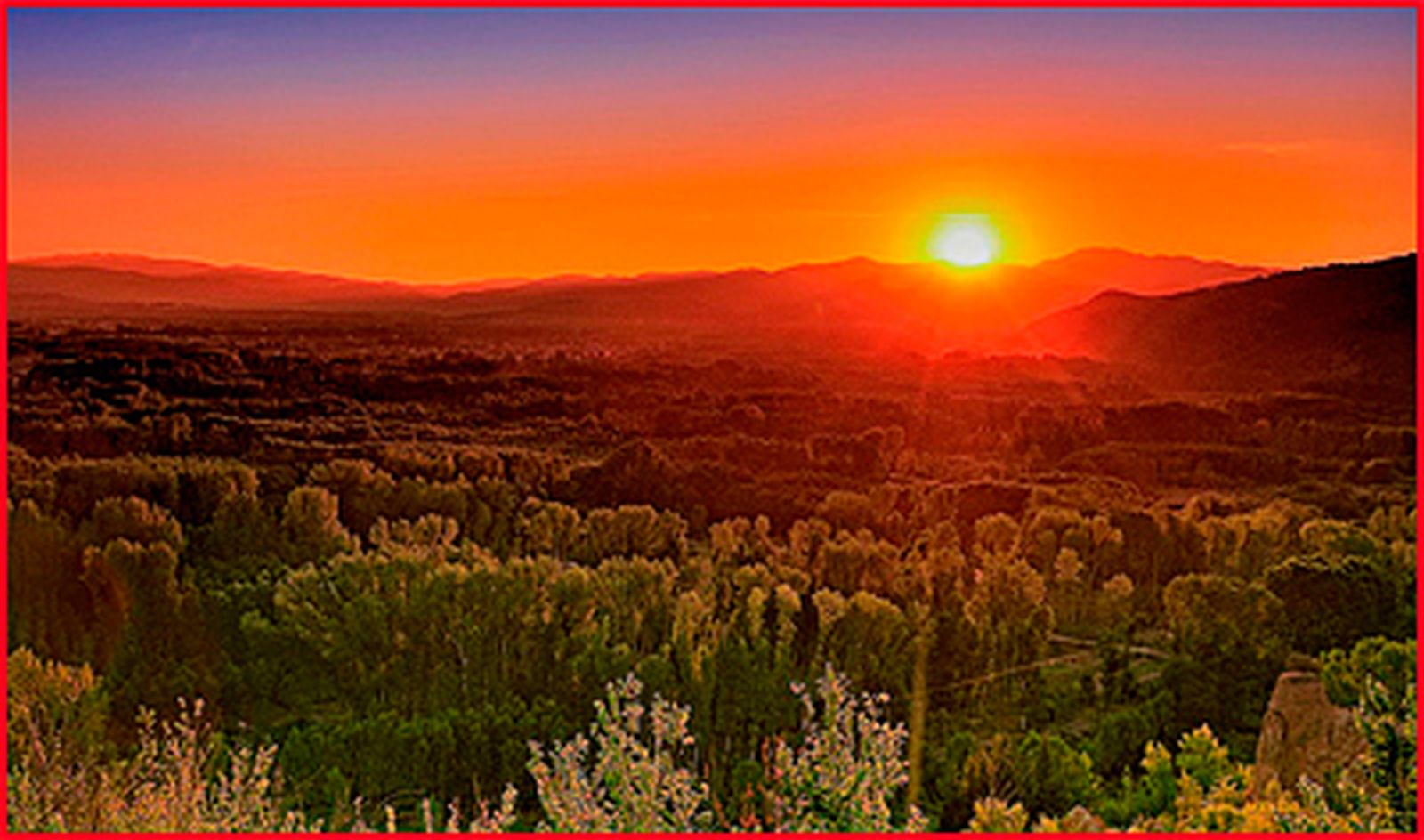 Nuevos versos de Jesús Mauleón 3. APASIONADO ADIÓS