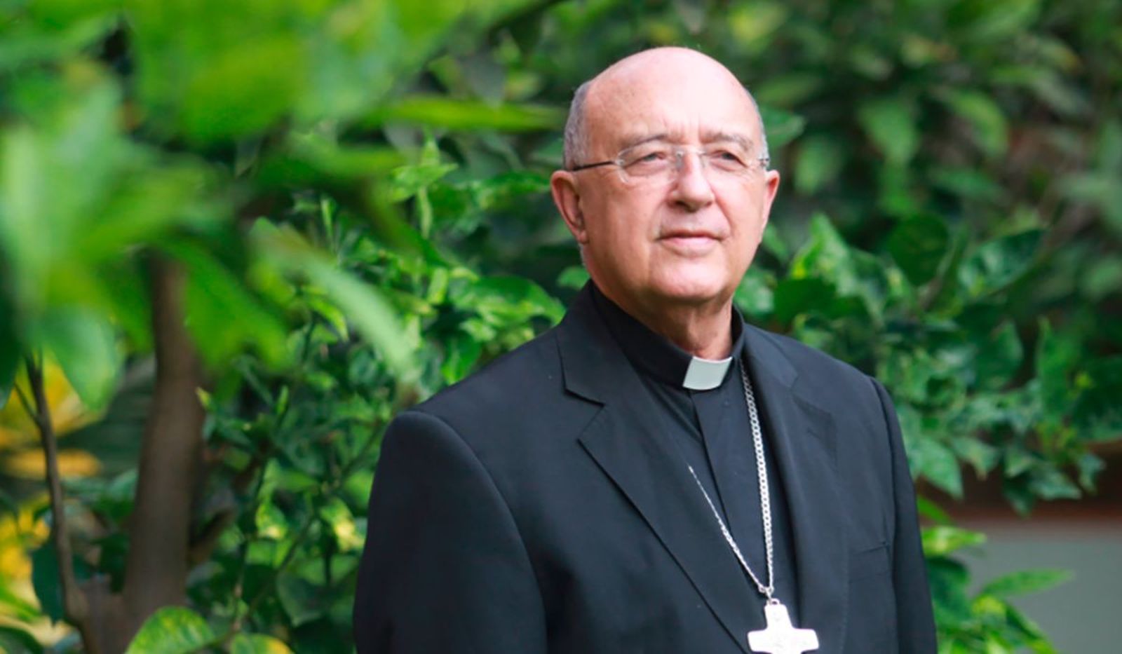 Cardenal Pedro Barreto