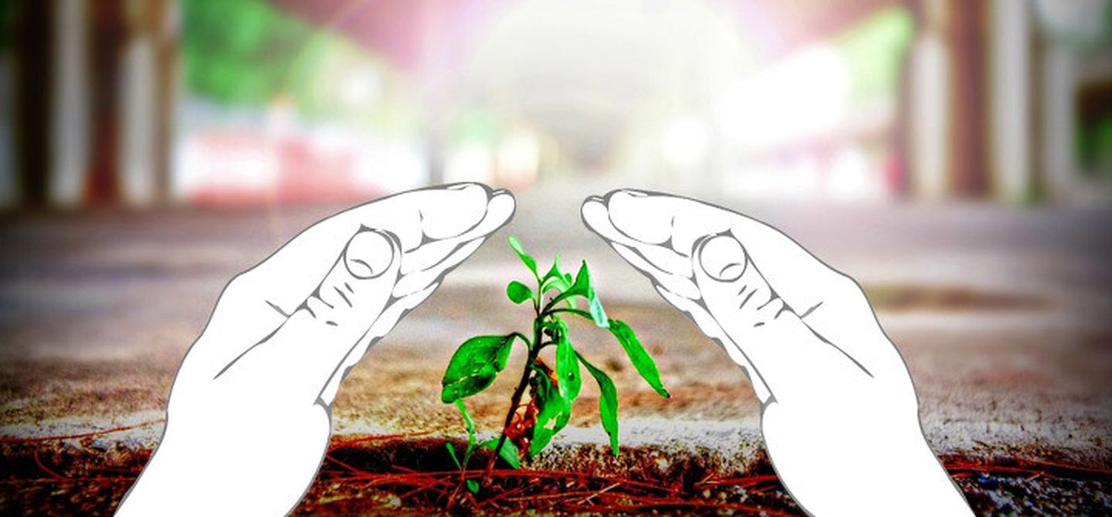 Democracia socioecológica