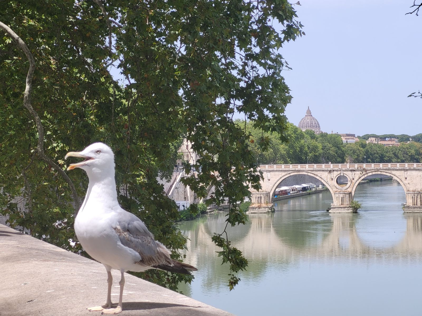 Jesús Cabello y Gema Martín,  dos ejemplos más del don de la música al servicio del Reino