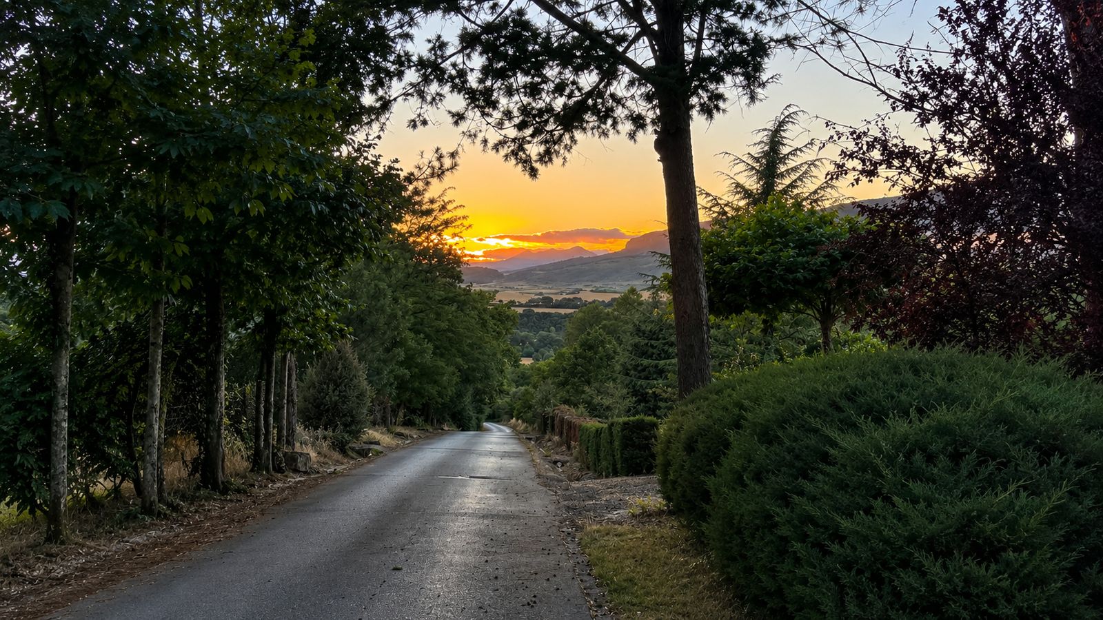 PRECIOSO CAMINO