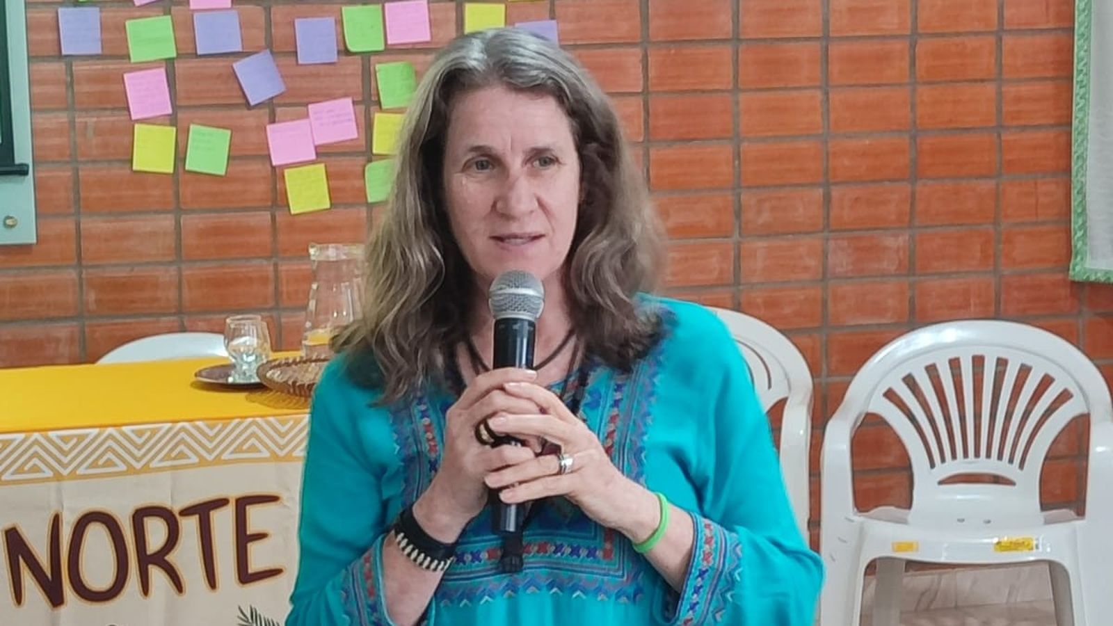 Rose Bertoldo Assembleia Norte 1