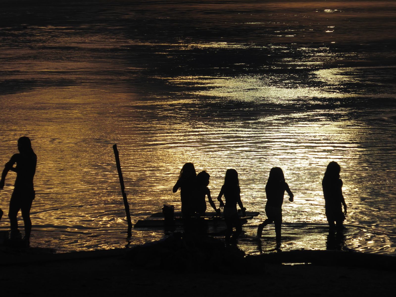 Vida en la Amazonía