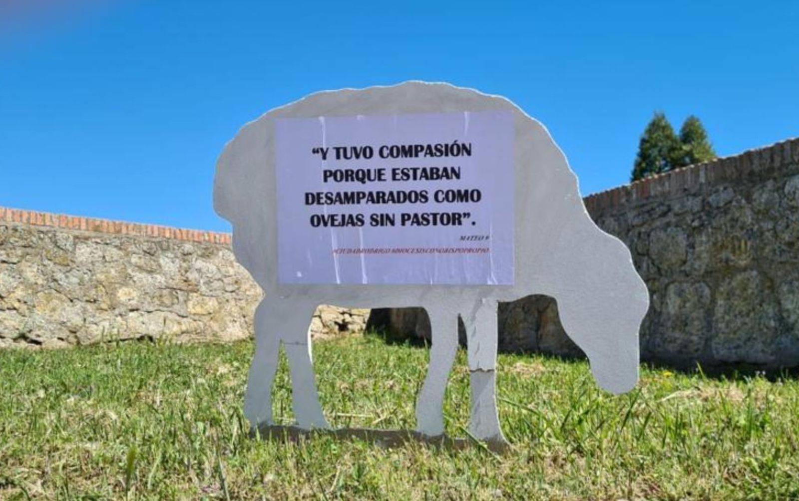 Ovejas en Ciudad Rodrigo