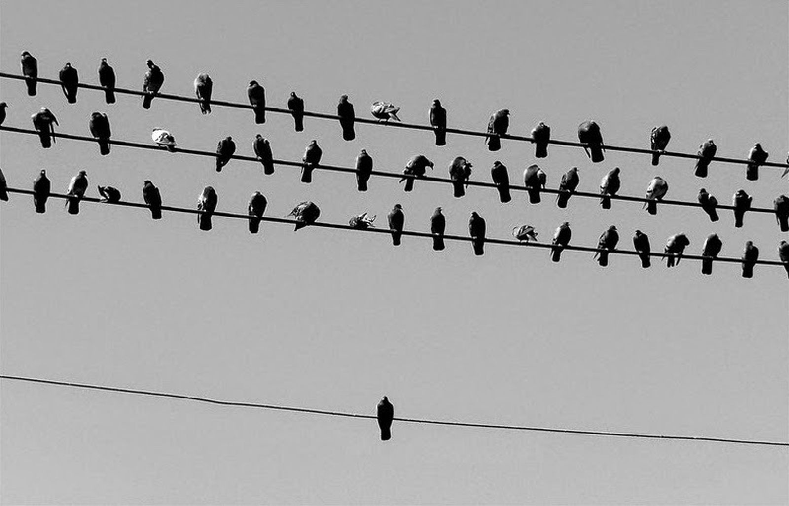 Los votos son efímeros, pero el rencor, duradero