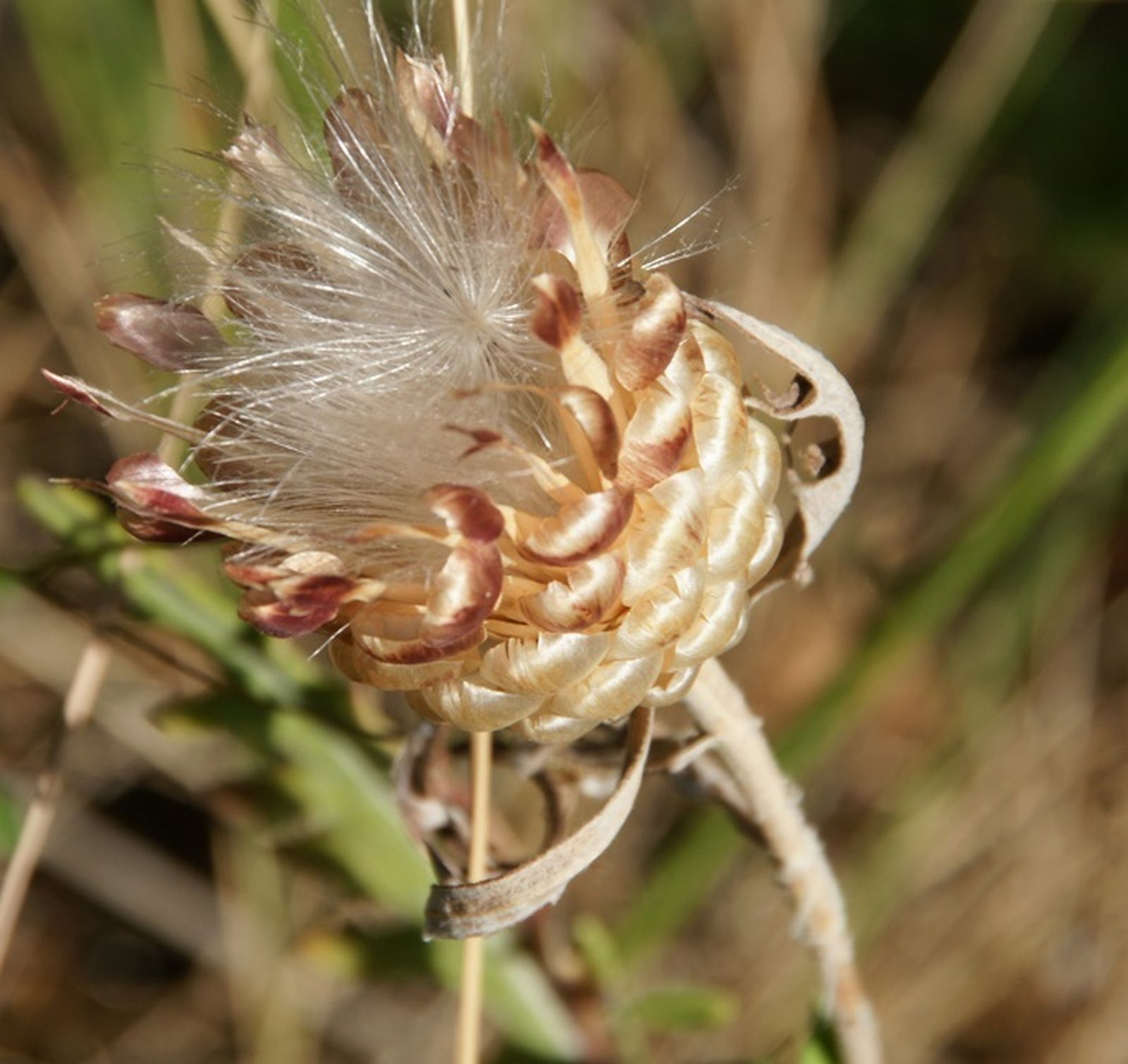 12 DE MAYO: Mes de María