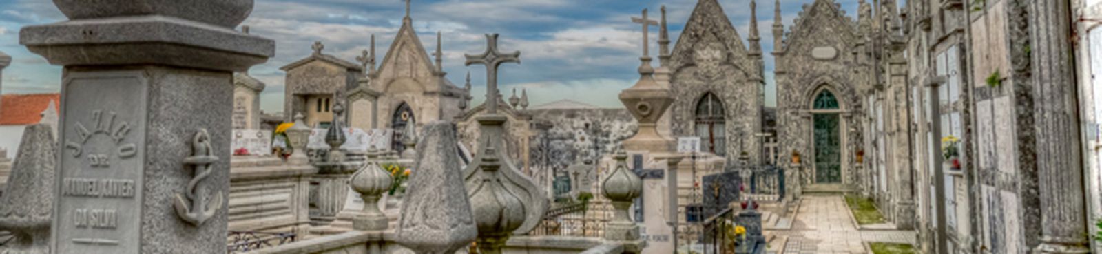 super-aspidem-rebelo