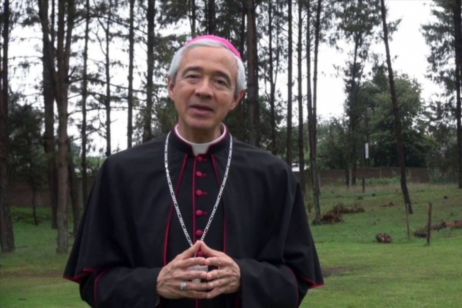 Monseñor Patrón Wong