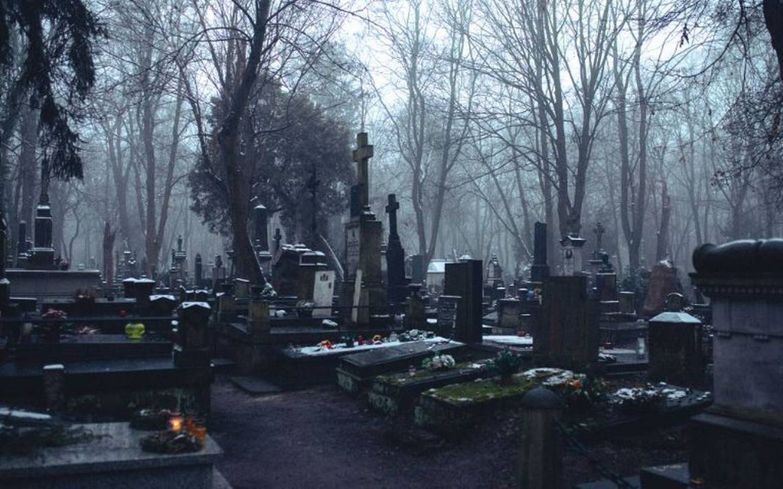 D. Mateo caps. 18 y 19