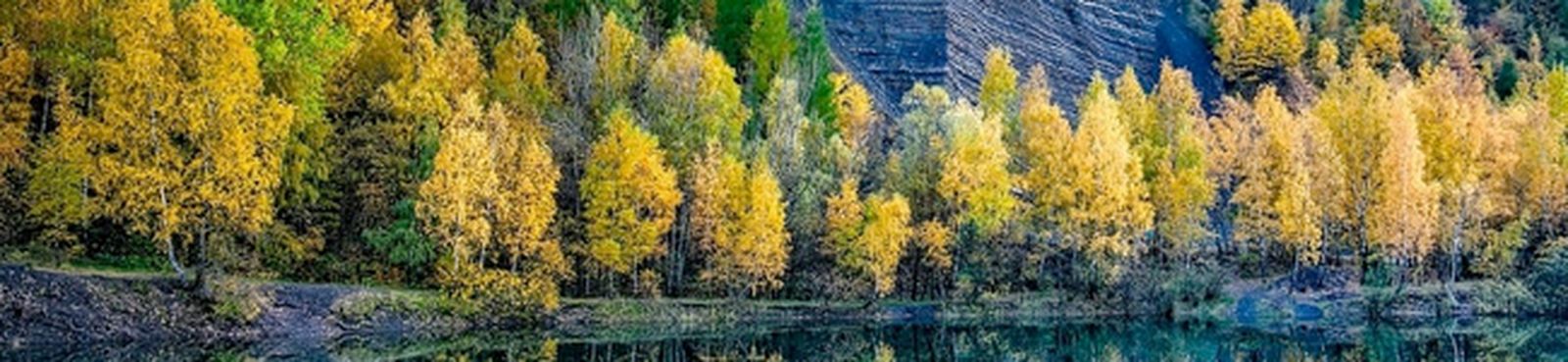 bach-stradal-coral-bwv632