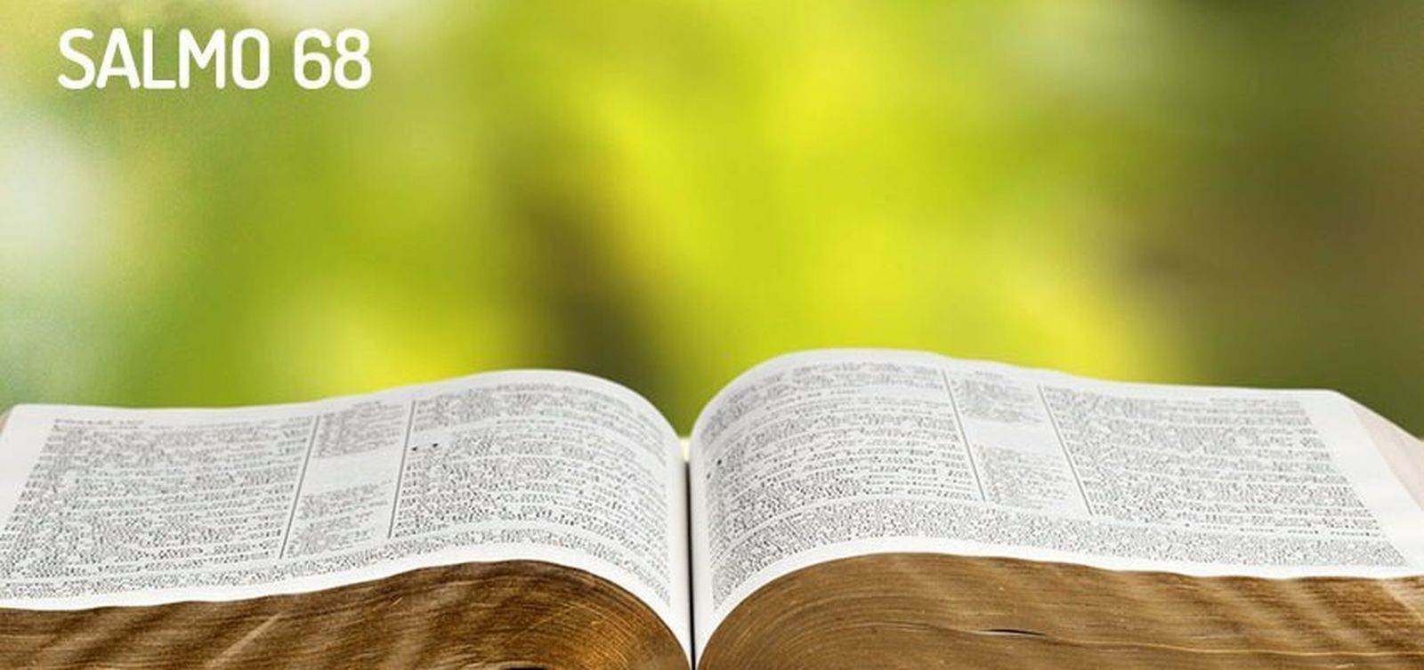 Oración de un afligido