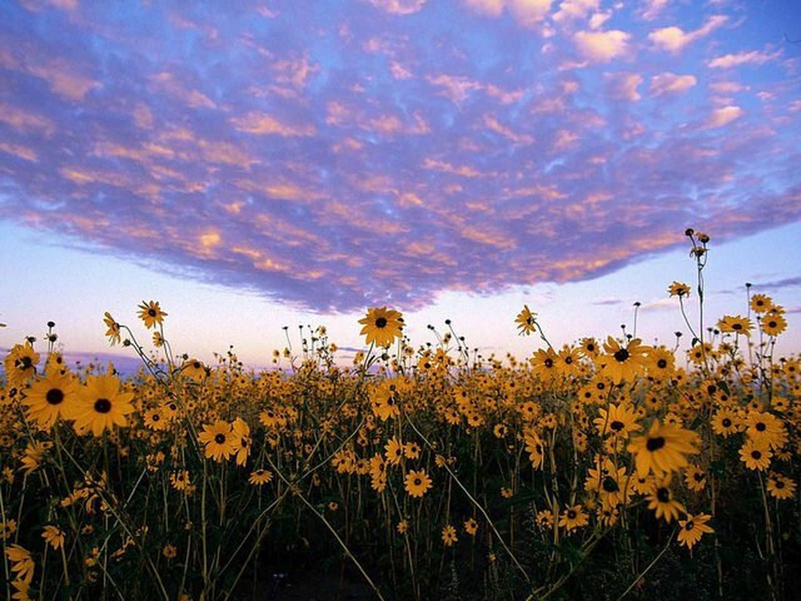 Cercanía de cielo y tierra