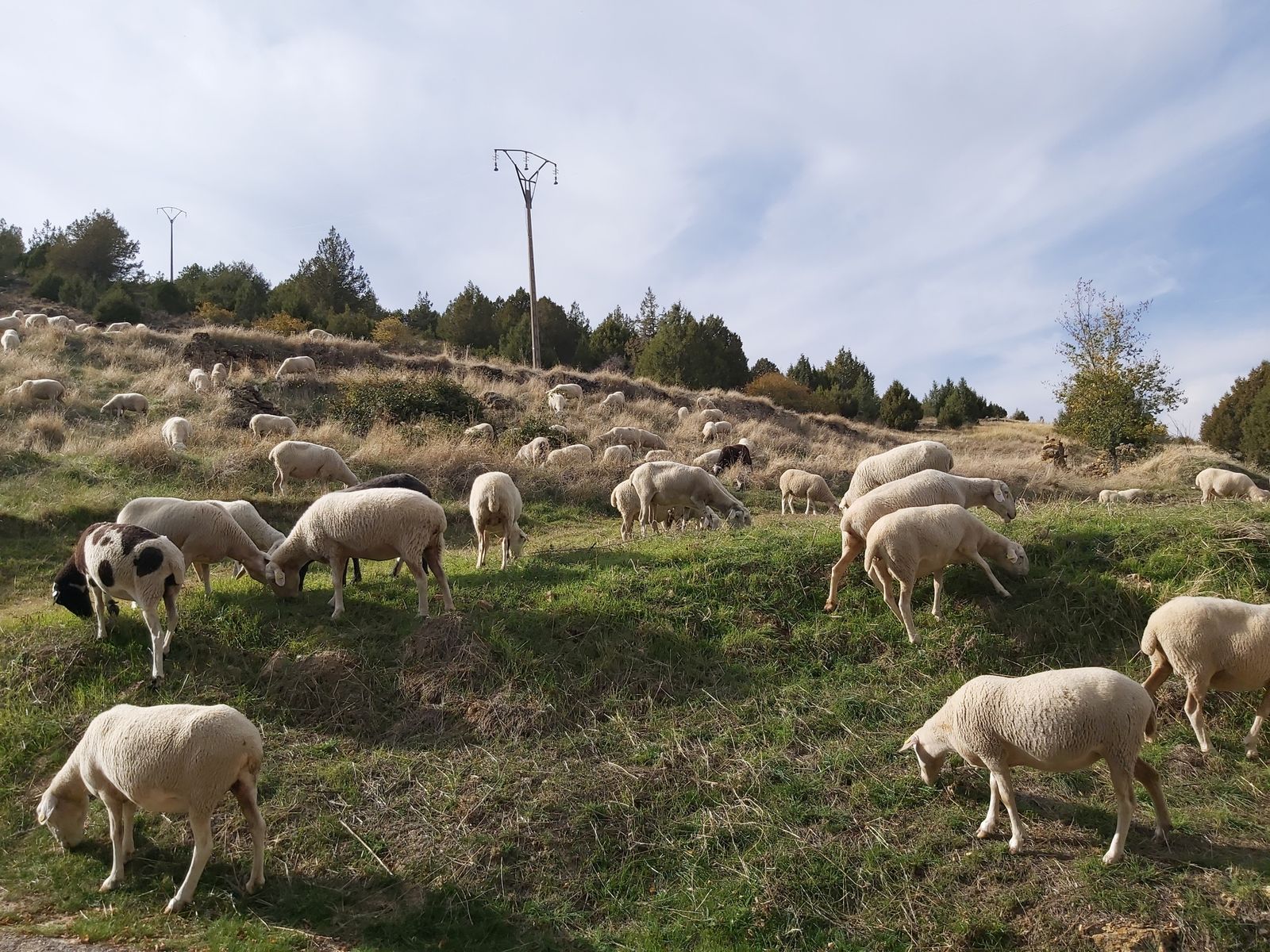 Desde el desierto del claustro