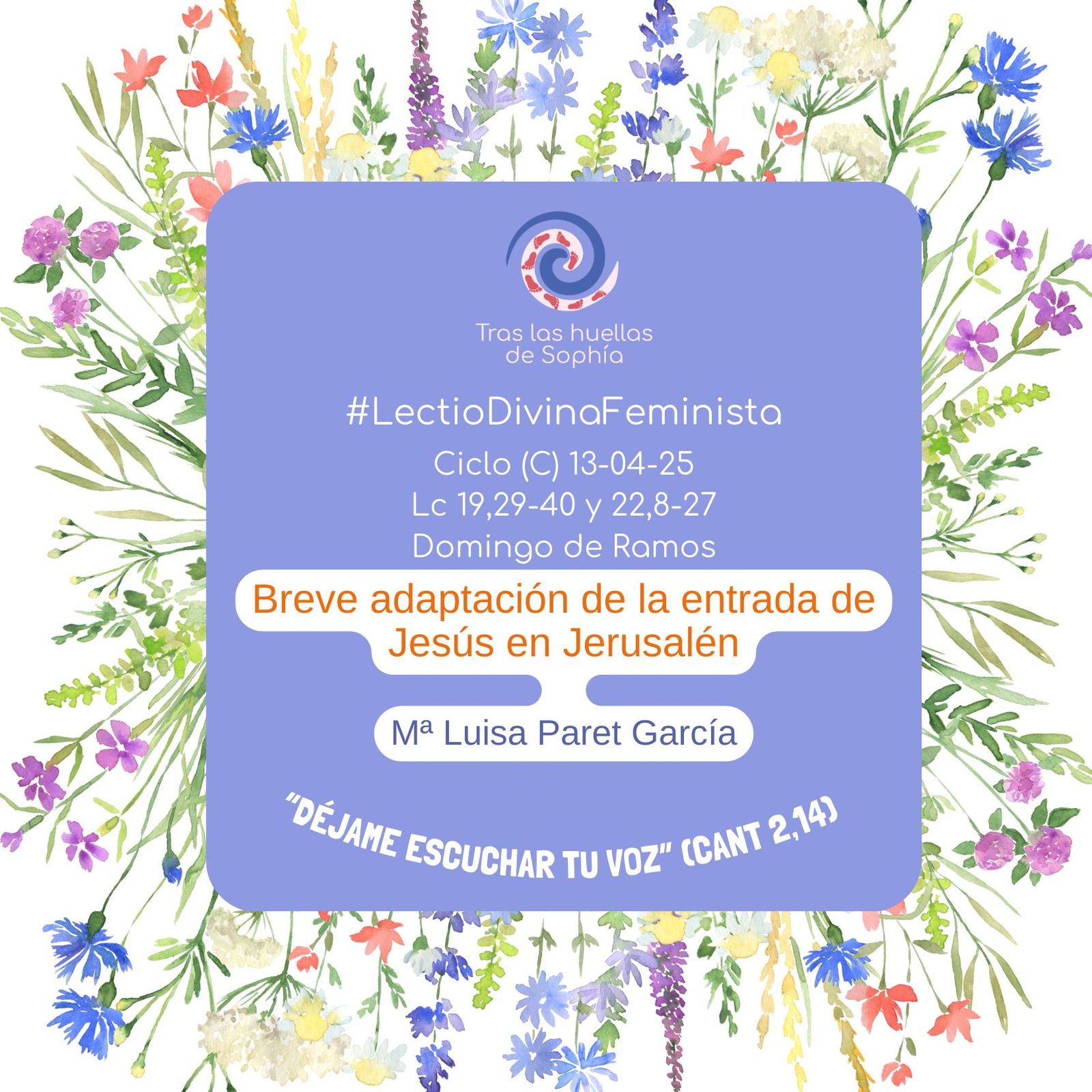 Lectio Divina ciclo C