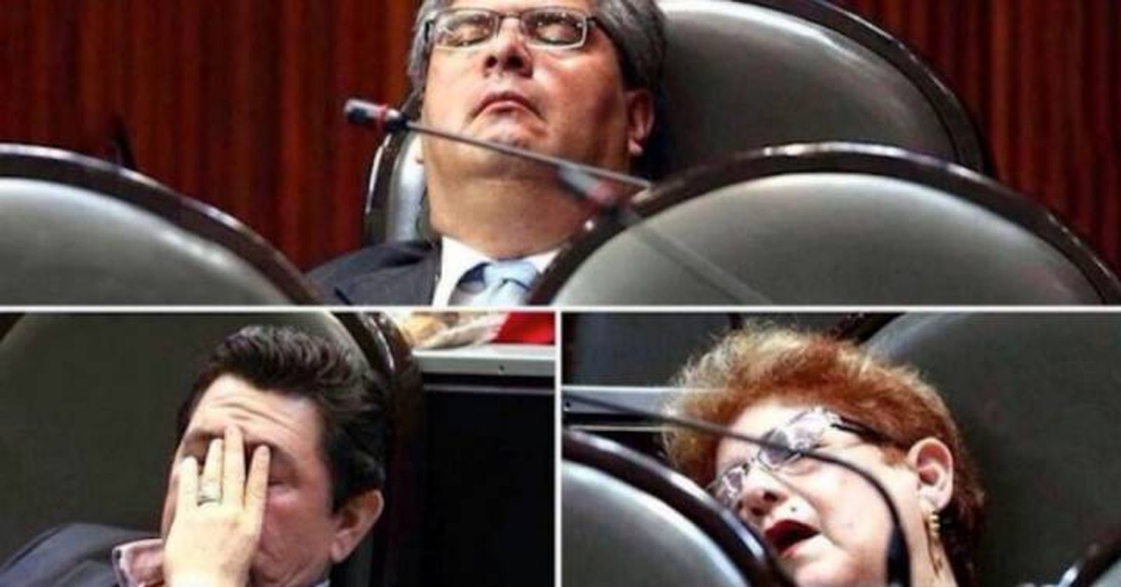 En plena faena laboral