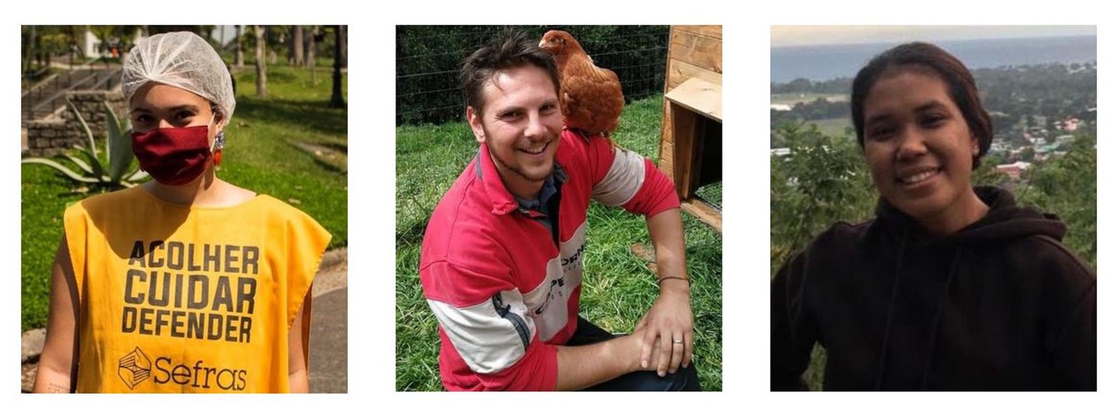 Animadores Laudato si'