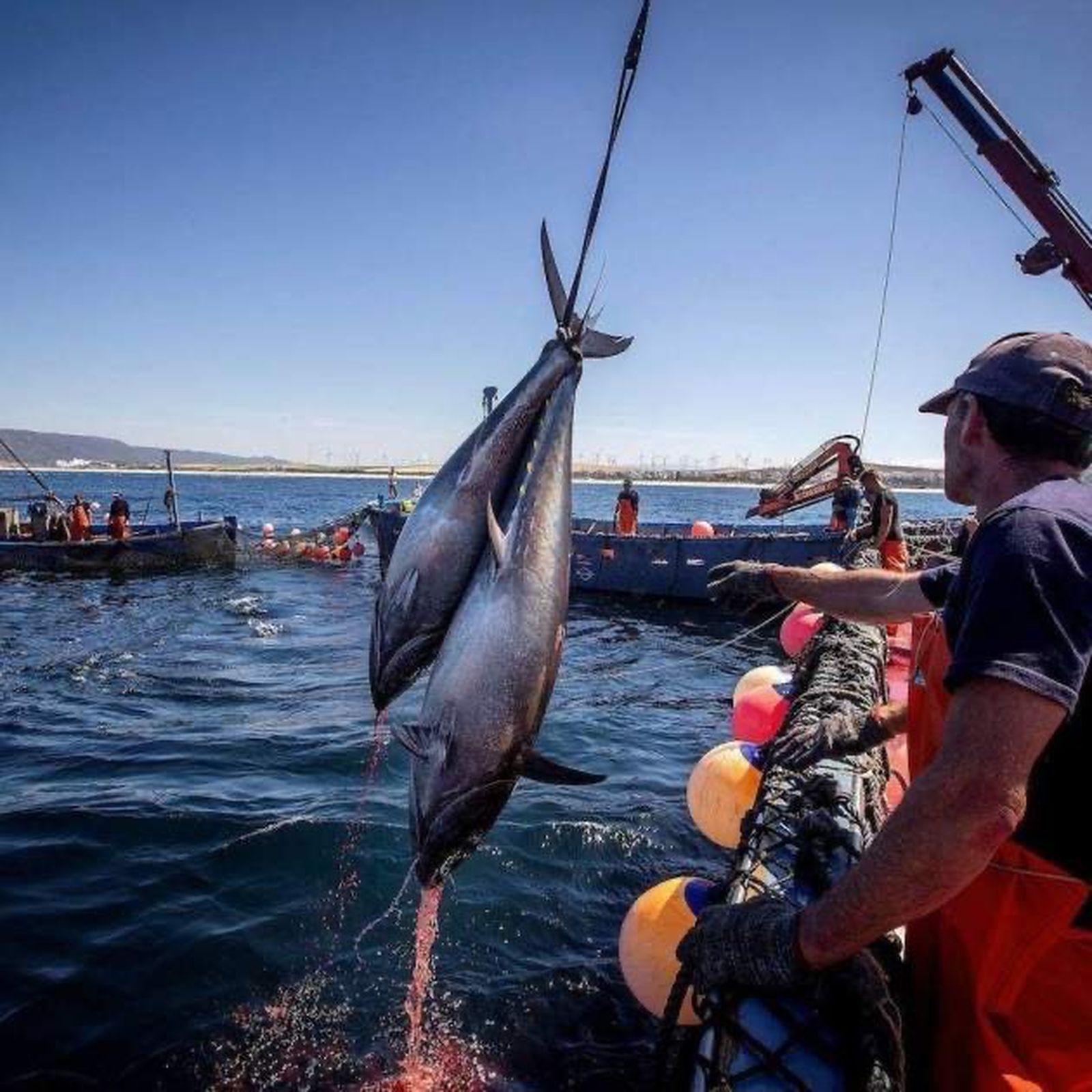 Pescadores