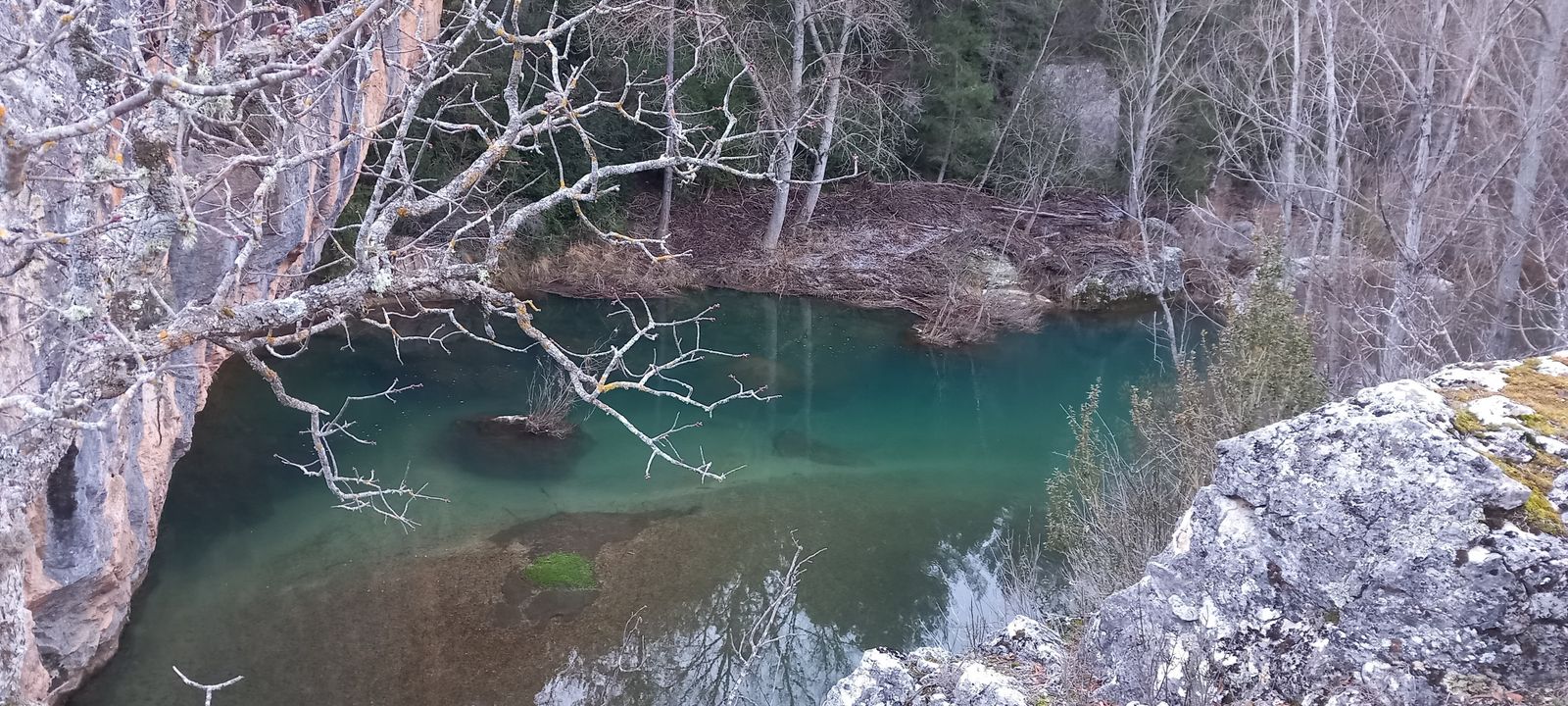 IV Jueves de Cuaresma