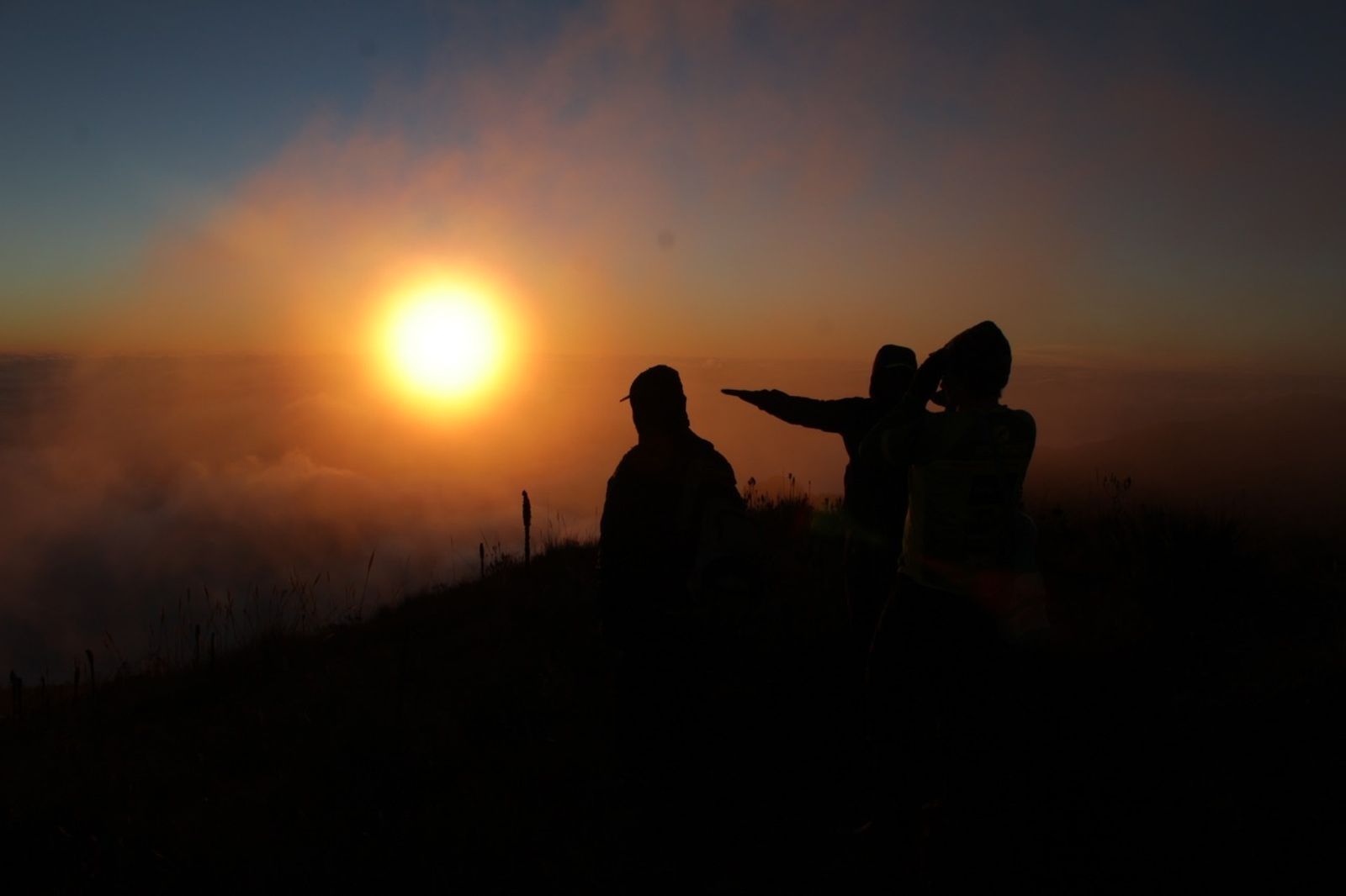 Coloquios santos en palabras vulgares