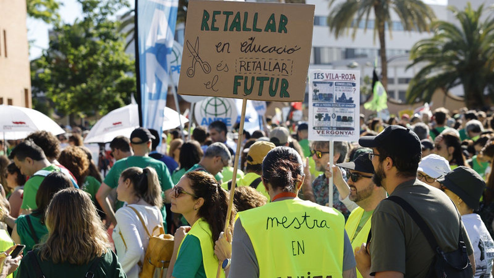 Mestres valencians en vaga