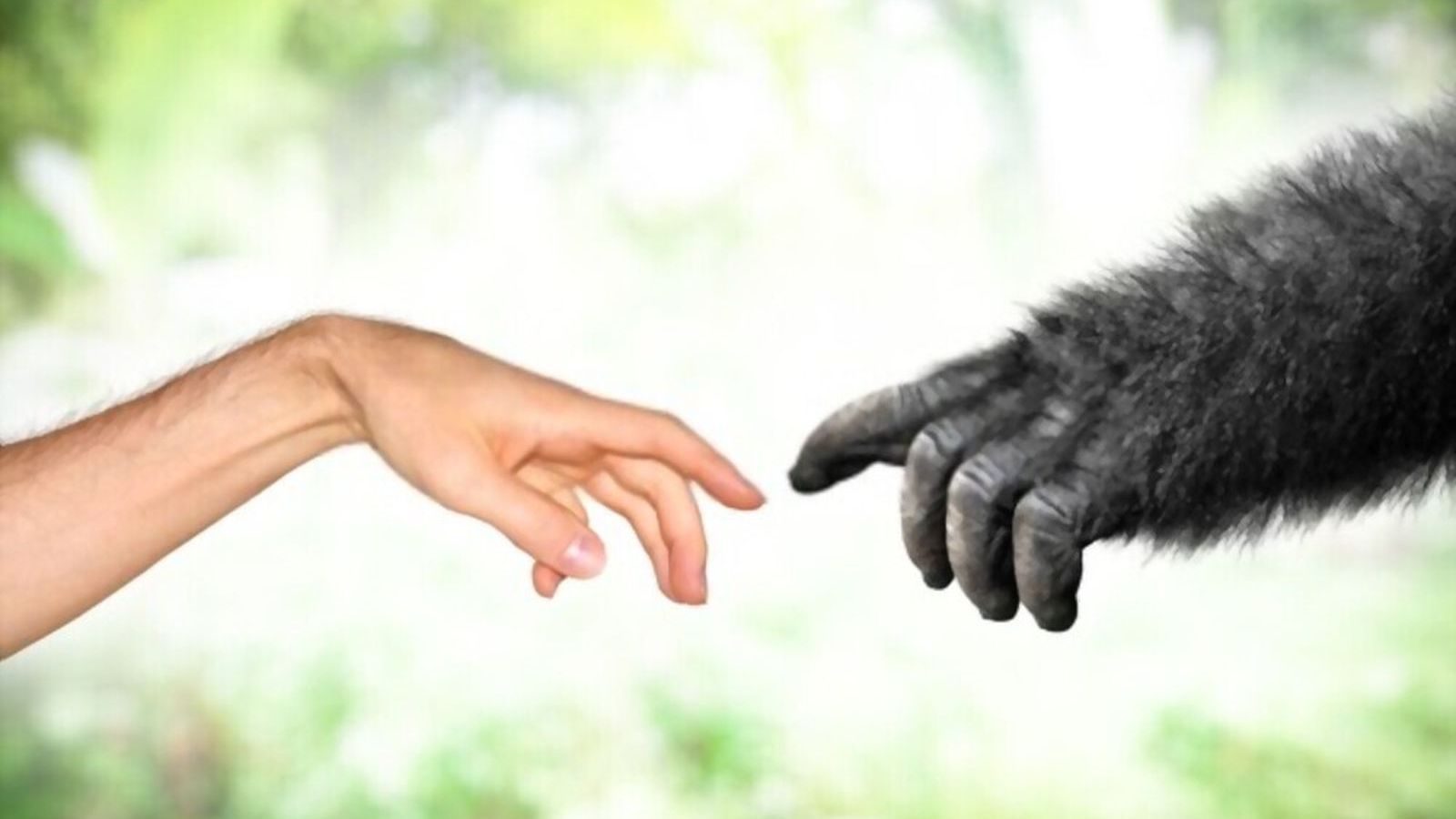 Catoliciso conservador