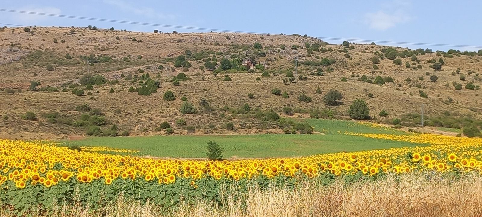 Año de Oración: La naturaleza
