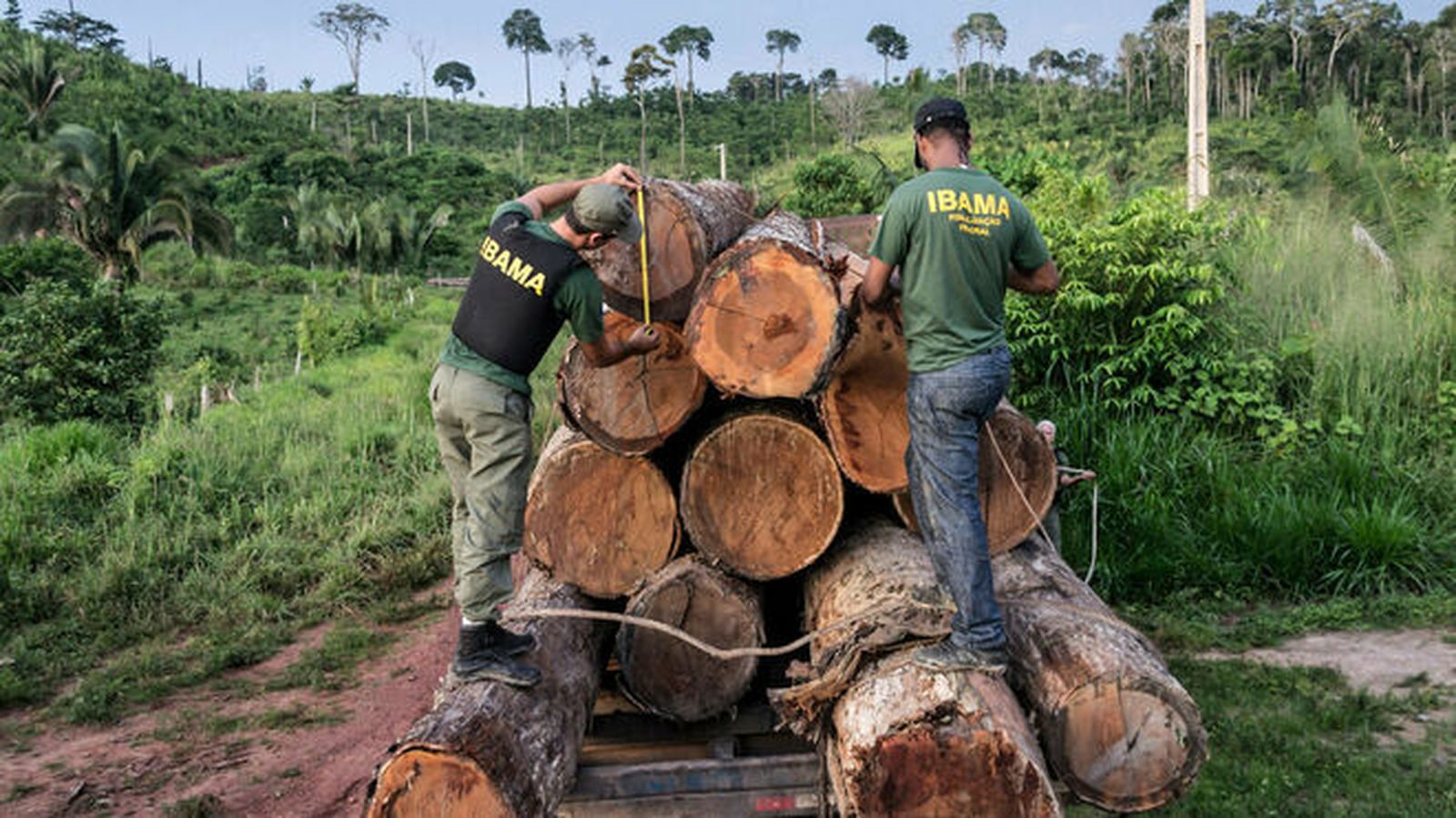 Deforestacion-Amazonia_2124397589_13624919_660x371