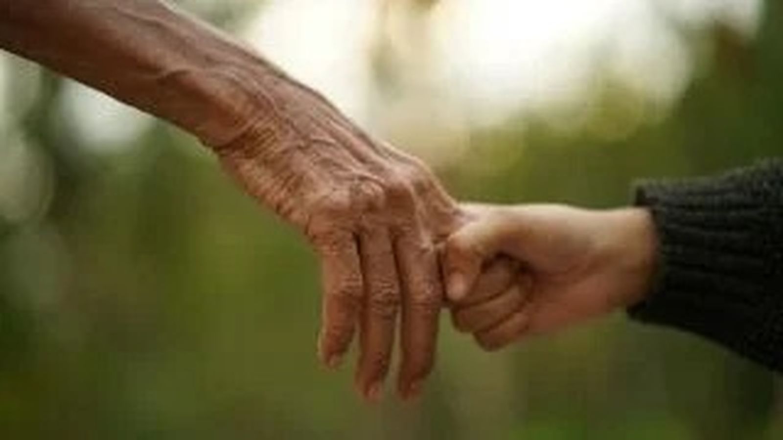 Ancianos y amados