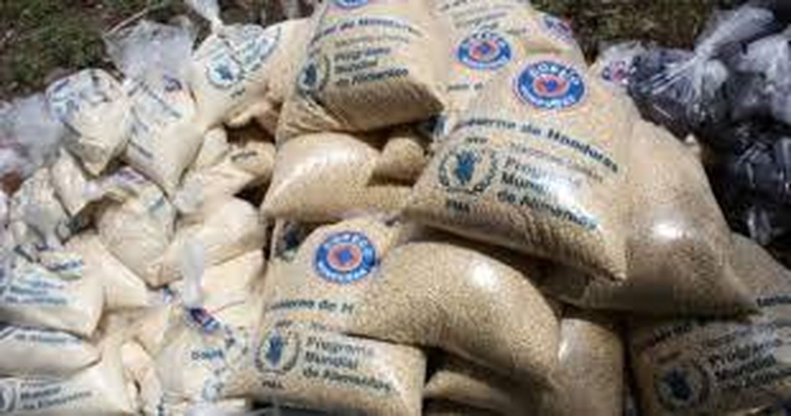 Nobel para el Programa Mundial de Alimentos