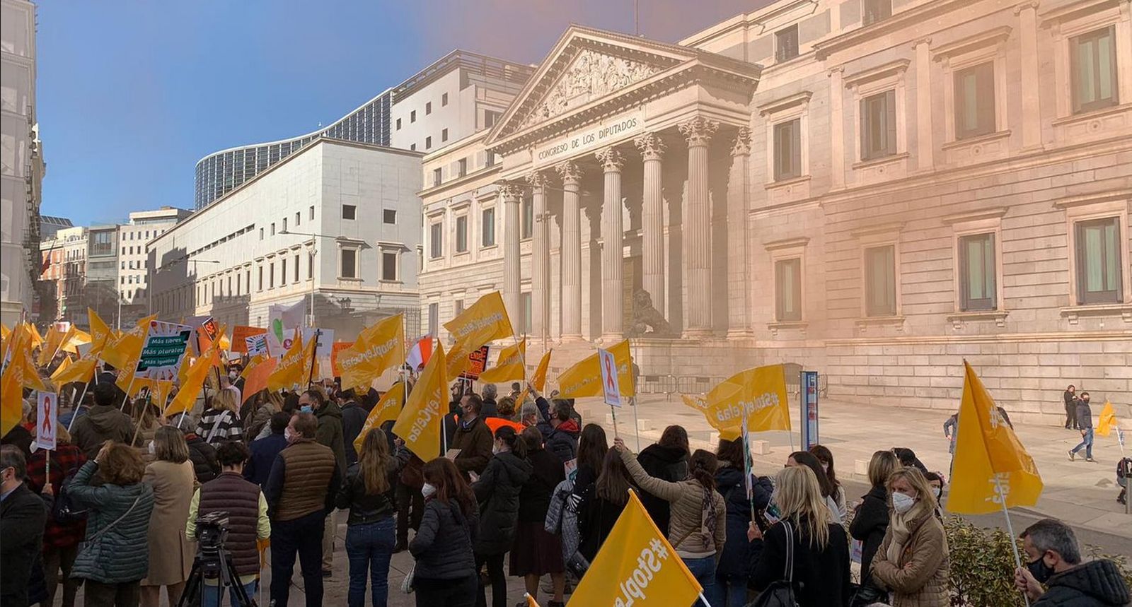 Manifestación ante el Congreso
