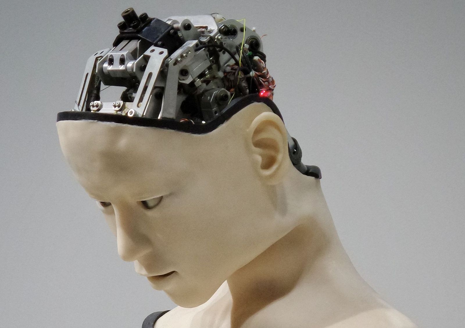 El 'cerebro' de un robot