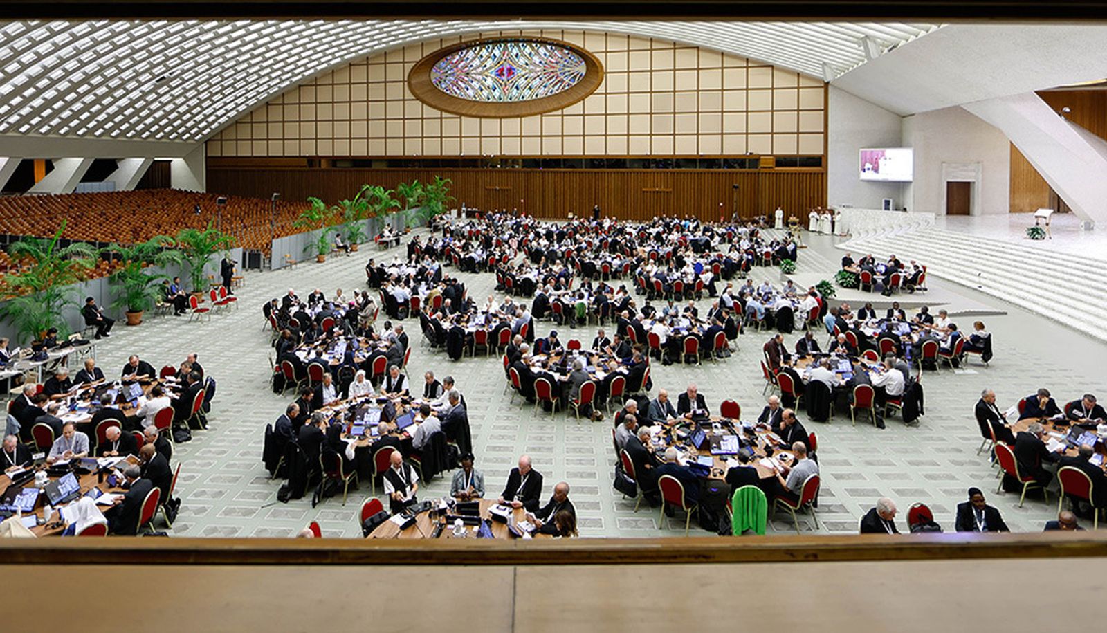 Sínodo de la sinodalidad