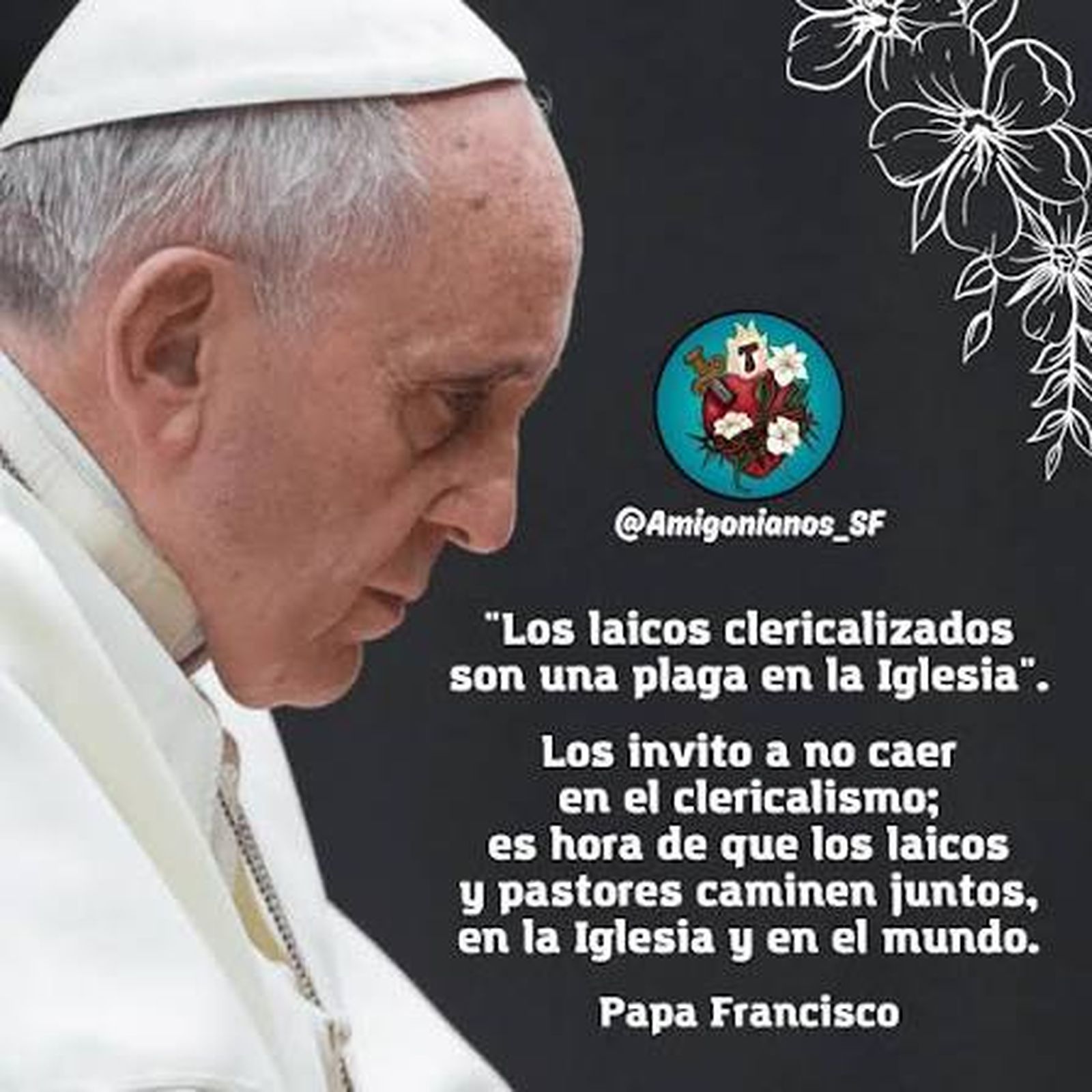 Laicos clericalizados