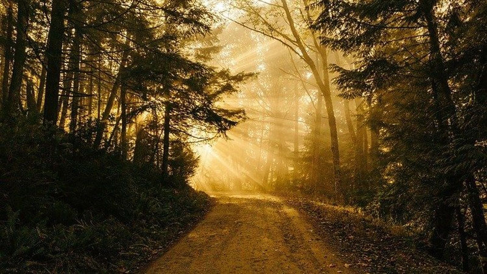 Necesitamos esperanza y un cambio de rumbo