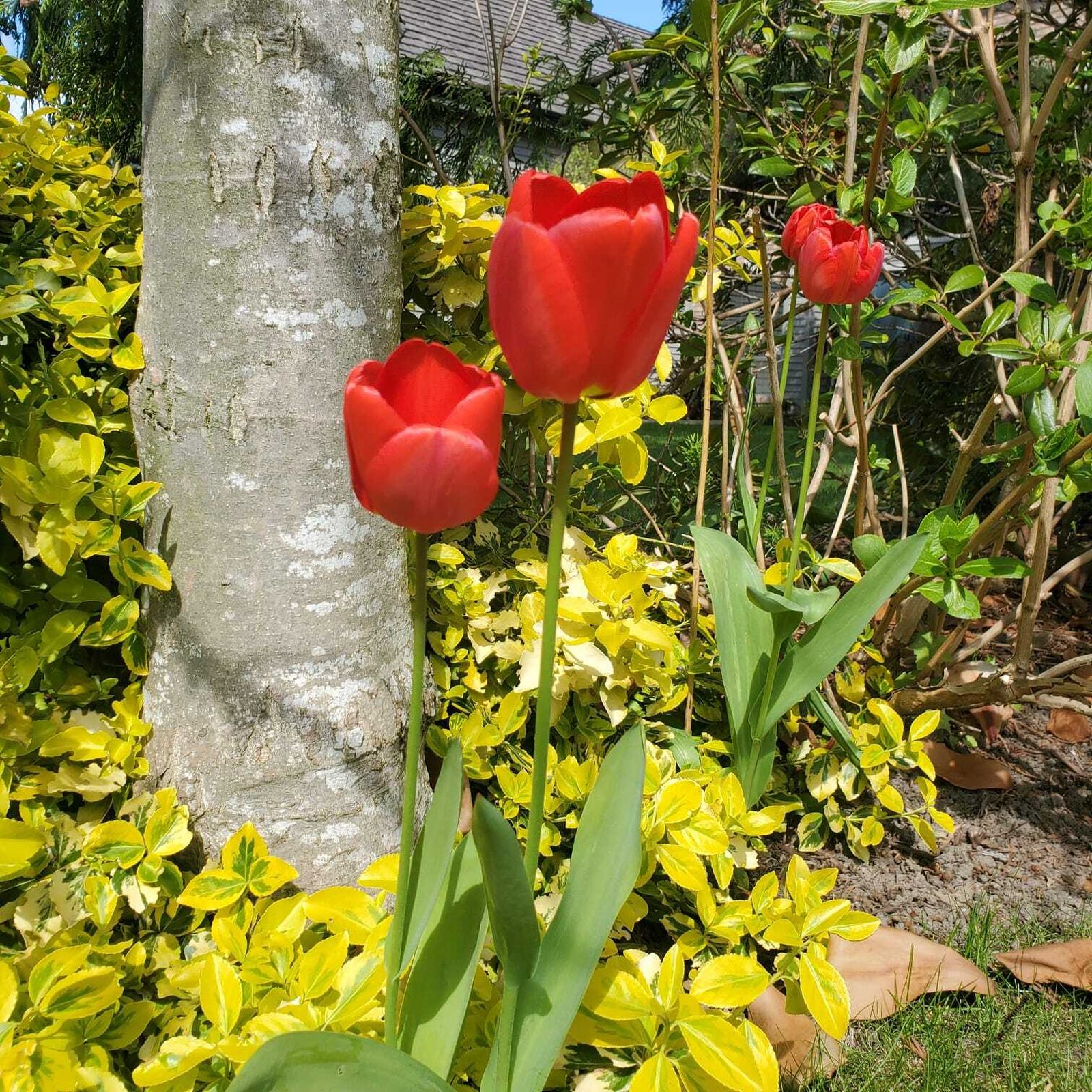 A lo fieles difuntos